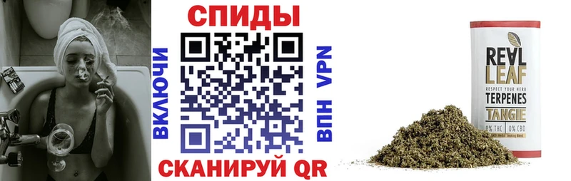 Бутират оксана Сергач