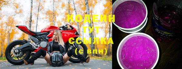 хмурый Алзамай
