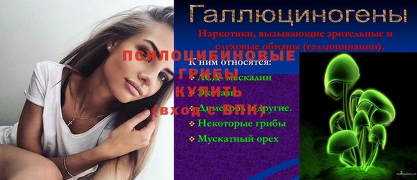 шишки Баксан